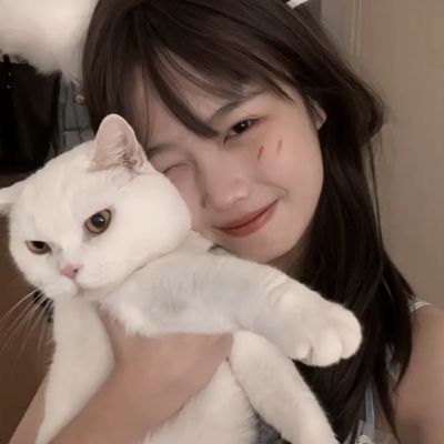 精灵契约37官方版下载
