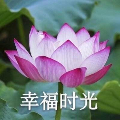 腾讯雷霆前线手游下载